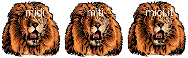 Logo midimitimici.it