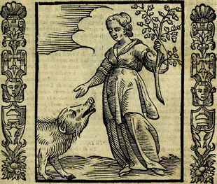 Illustrazione presente in una edizione de Le piacevoli notte dello Straparola